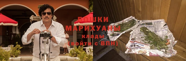 стаф Елизово