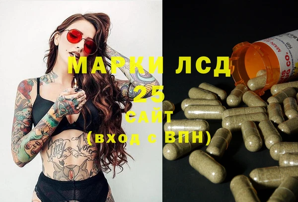 стаф Елизово