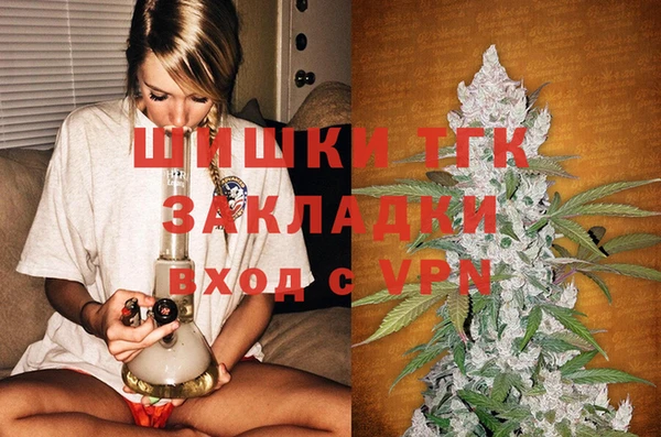 стаф Елизово