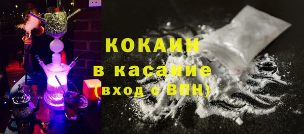 стаф Елизово