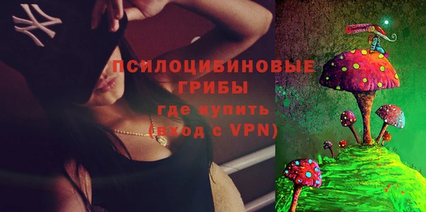 Альфа ПВП Елабуга