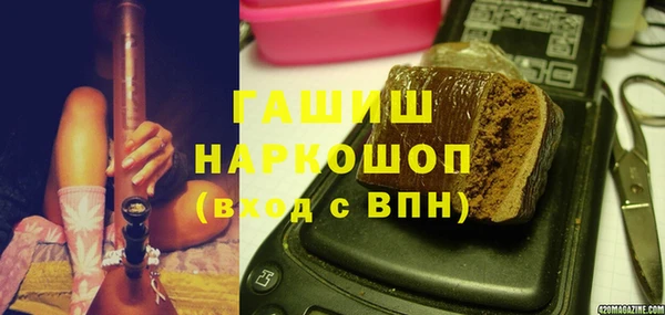 стаф Елизово