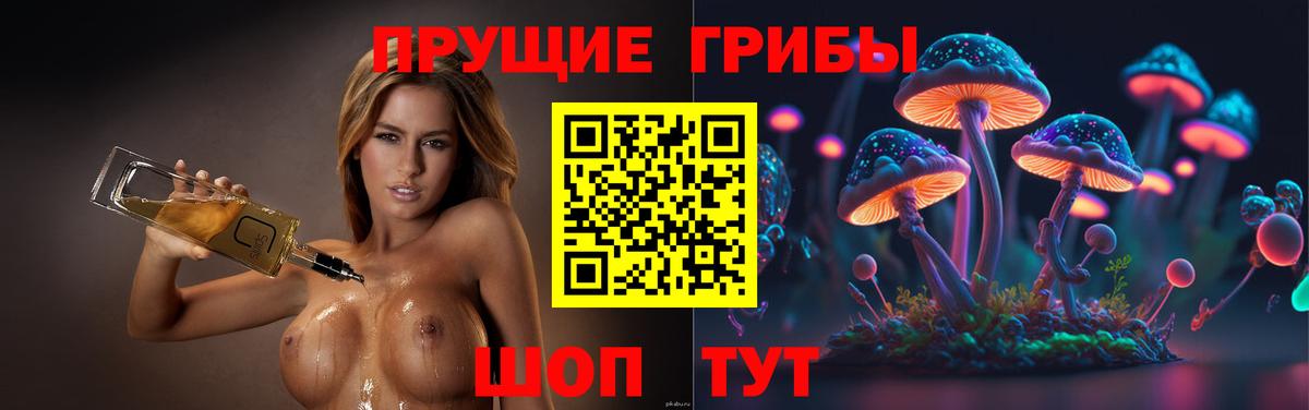 Псилоцибиновые грибы ЛСД Среднеуральск